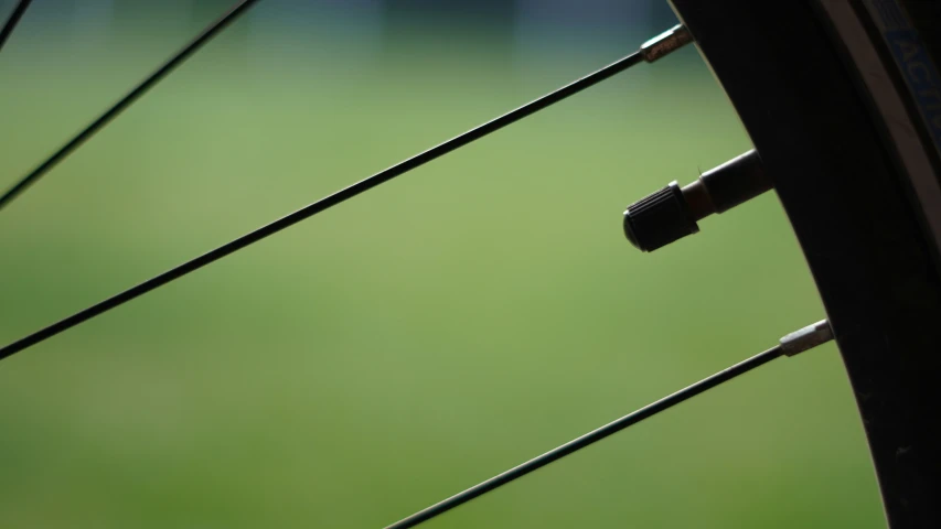 a close - up of a bicycle wheel with grass behind it