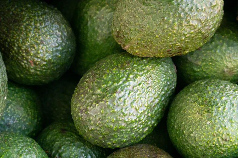 large assortment of unripe green fruit on display