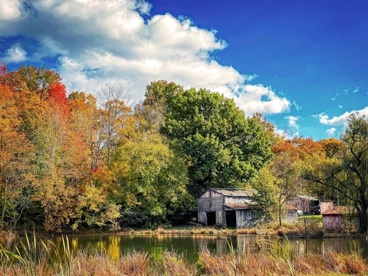 a body of water surrounded by trees with a building