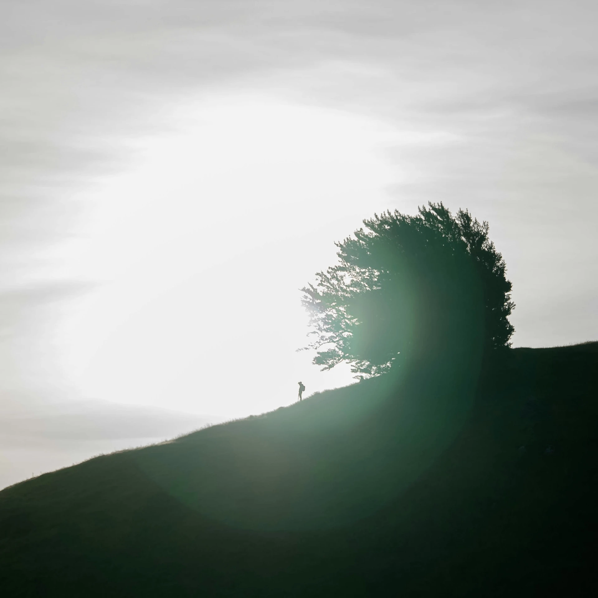 the sun shining through the sky above a tree on the hill