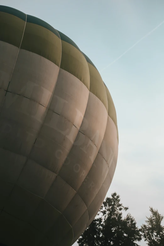 a  air balloon flying over a forest filled with trees