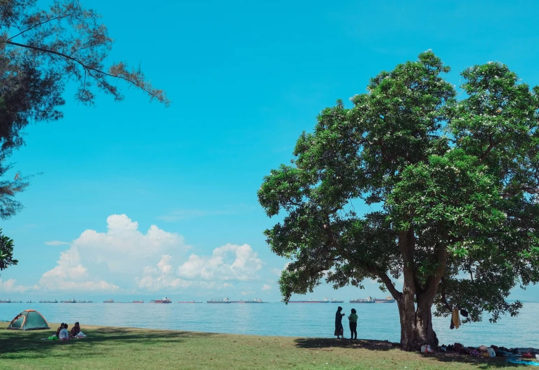 a group of people are standing under trees at the beach