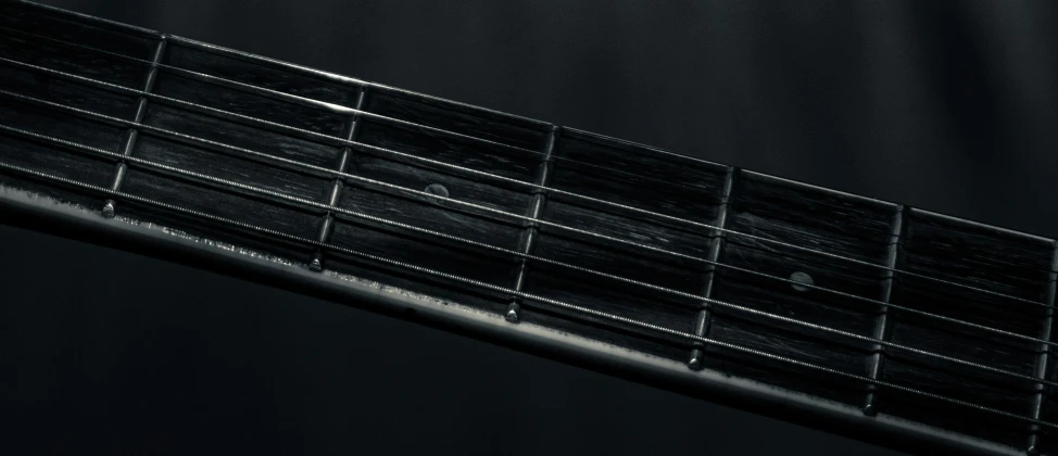 a black and white pograph of an electric guitar fret