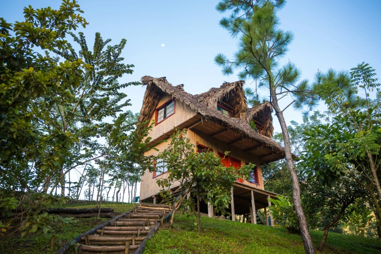 a house in the woods, set on top of the hill with stairs