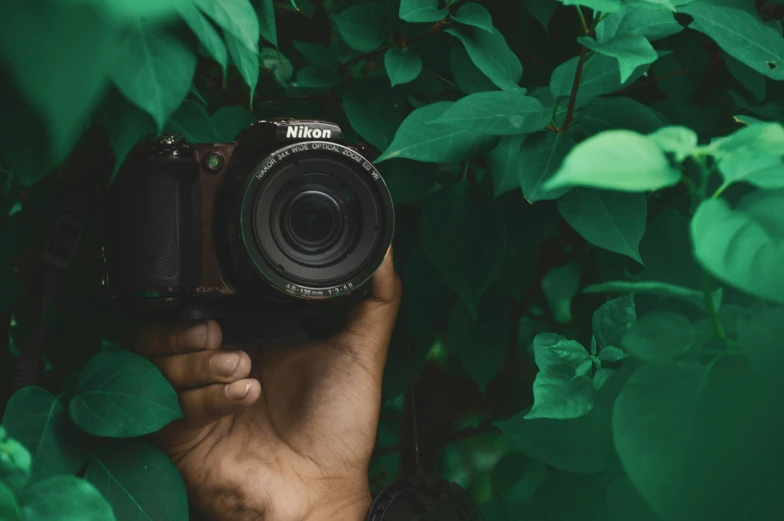 a person is holding up their camera near some leaves