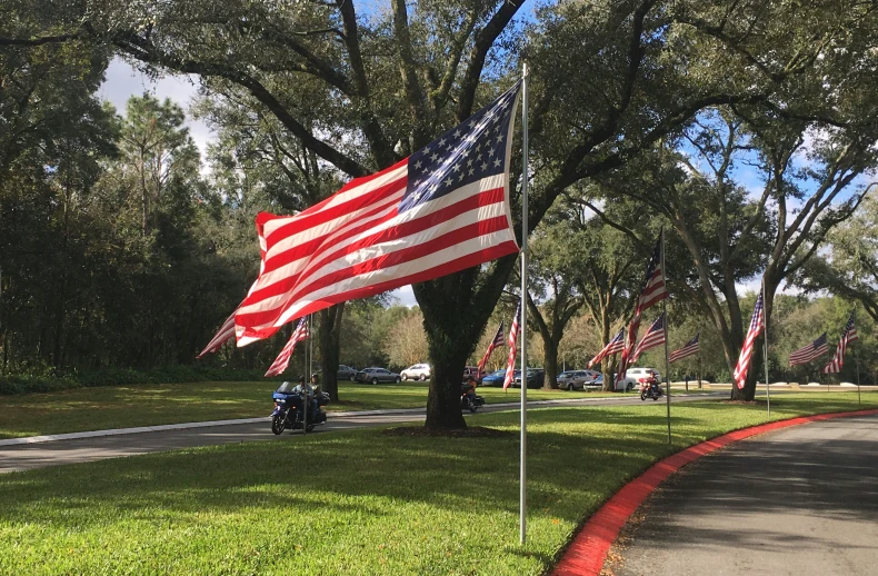 an american flag is on a pole in front of a tree with some parked cars