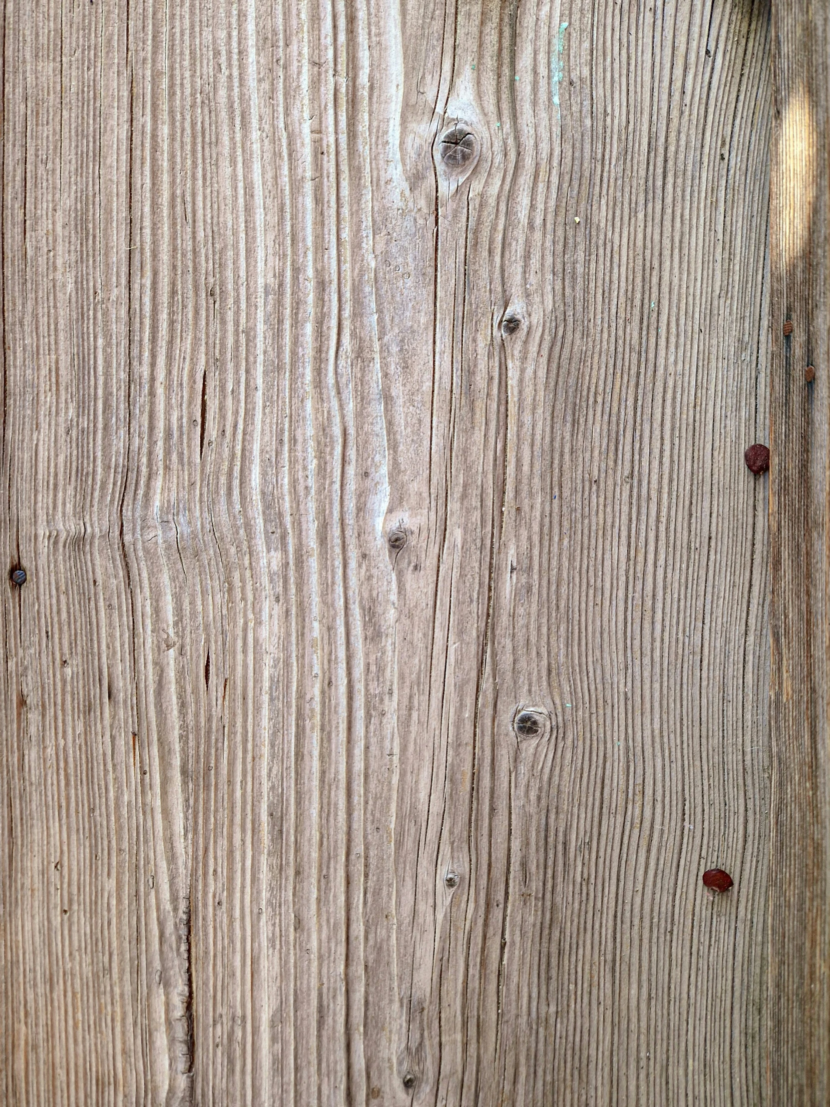 an animal's face is seen through the wood