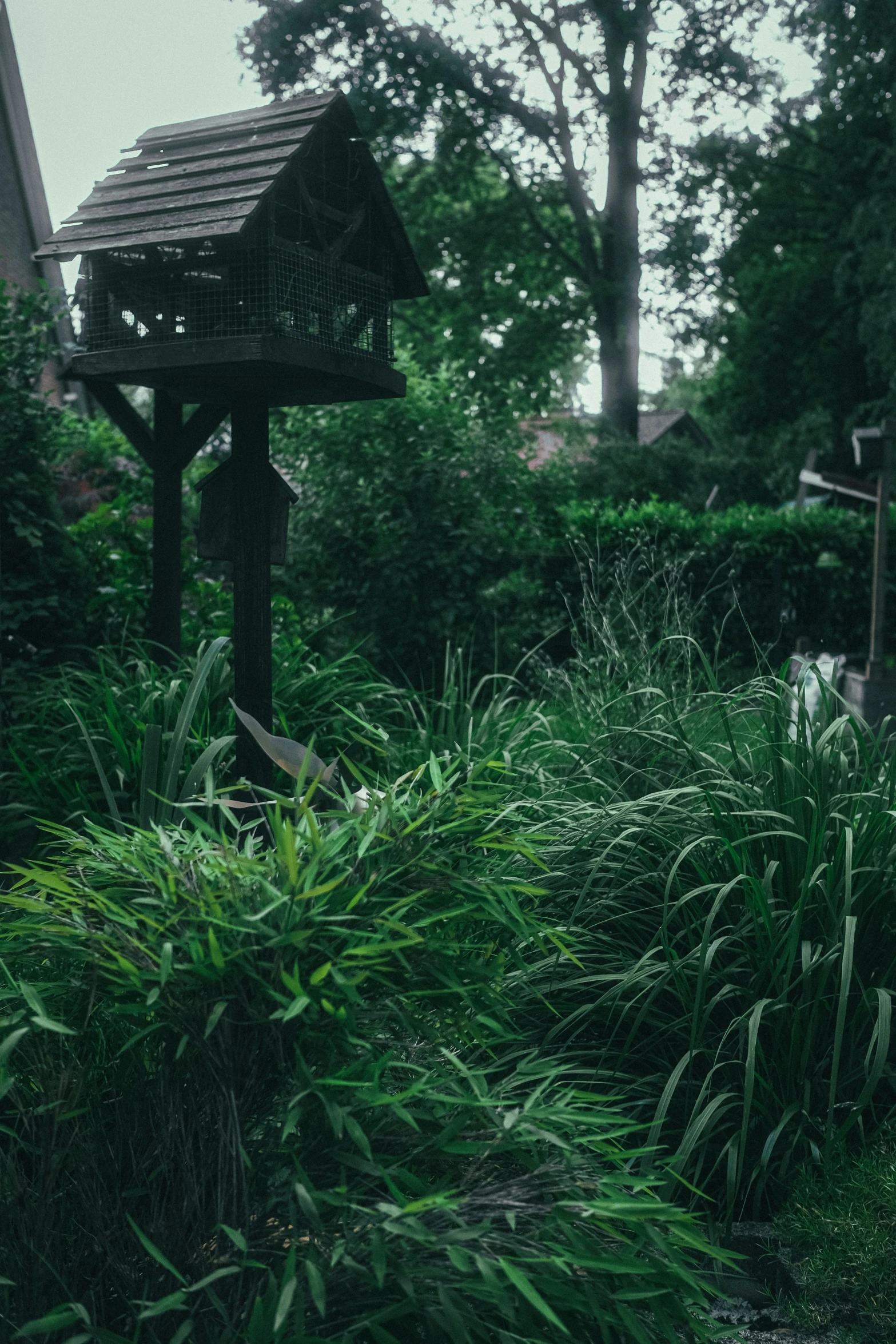 the bird feeder is in a shady area by the water