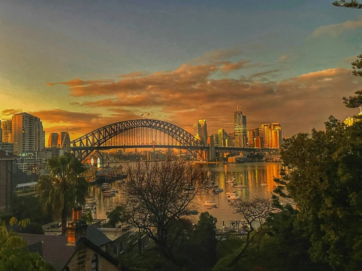 a city with many bridges across it