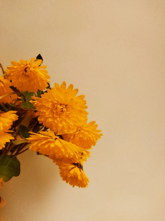 a bunch of yellow flowers on a table