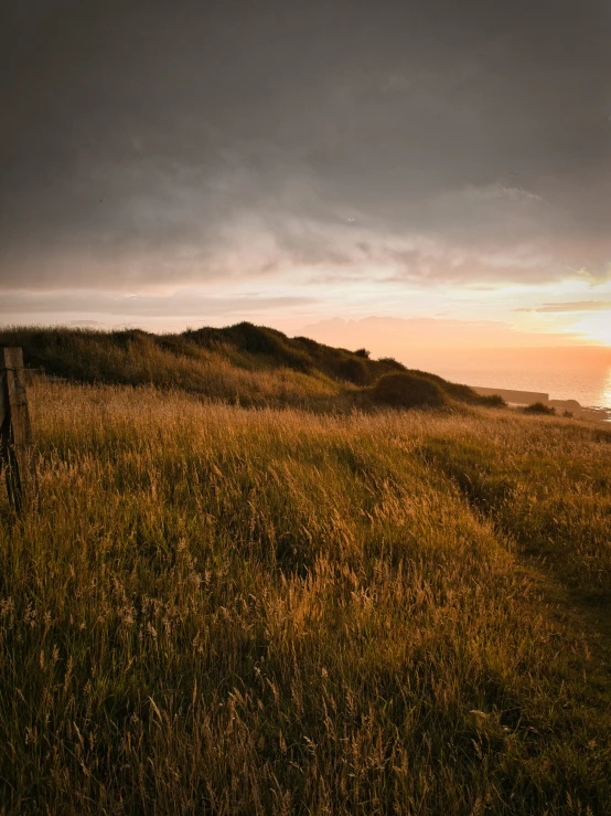 a grassy hill next to the ocean at sunset