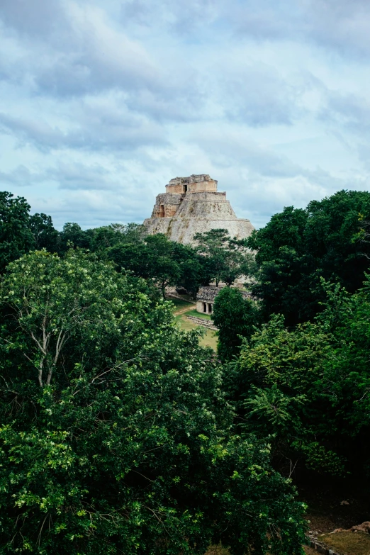 a view of an outcropping area from high on trees