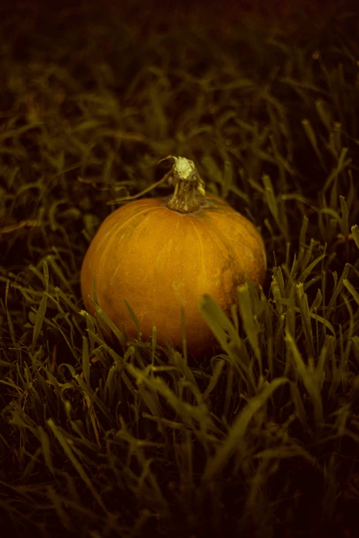 a large orange ball laying on the grass