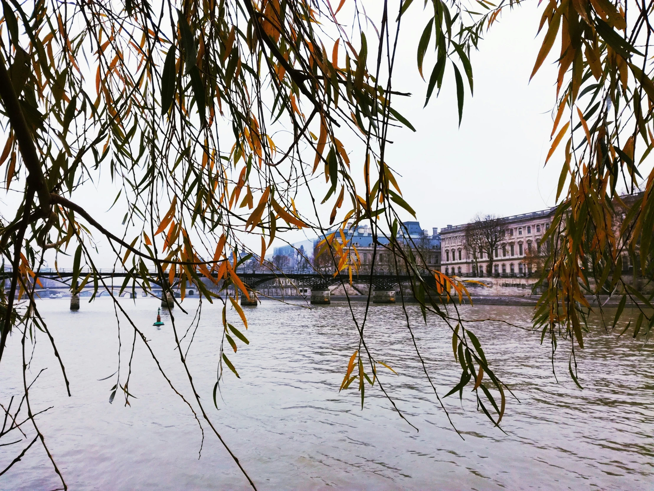 a bridge spanning across a large body of water