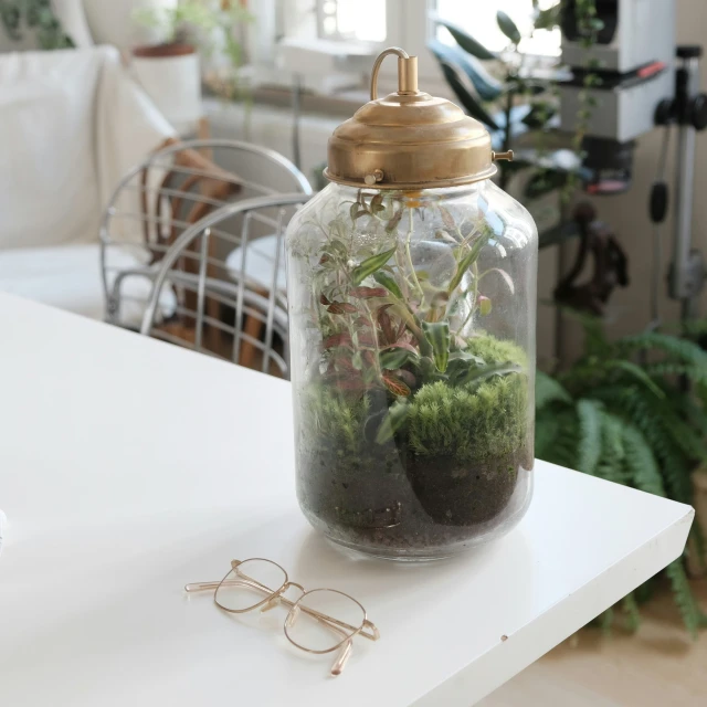 a jar filled with plants on top of a table