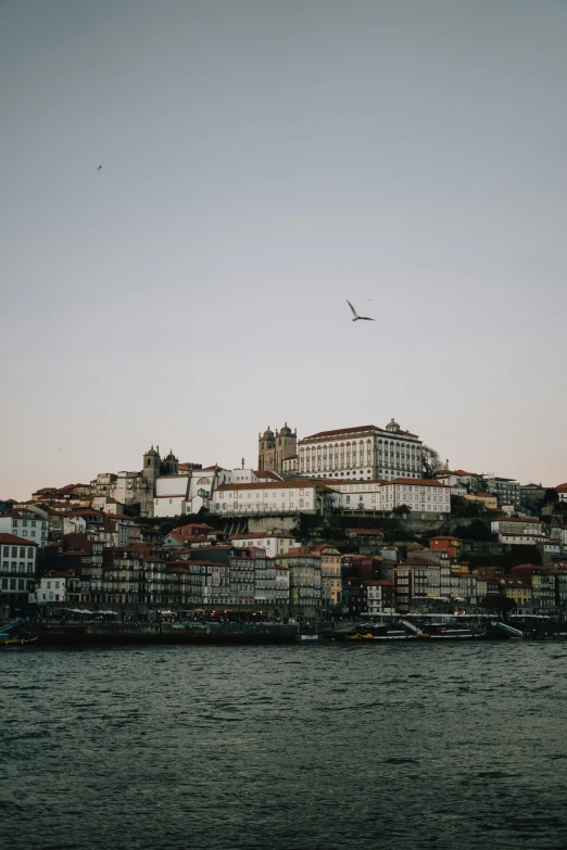 a bird flying over some buildings in the sky