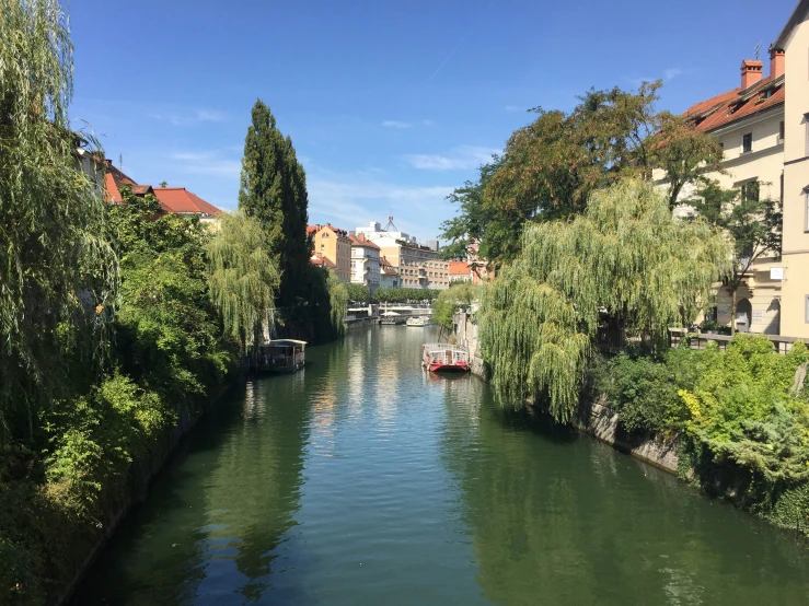 a river that is surrounded by trees and buildings