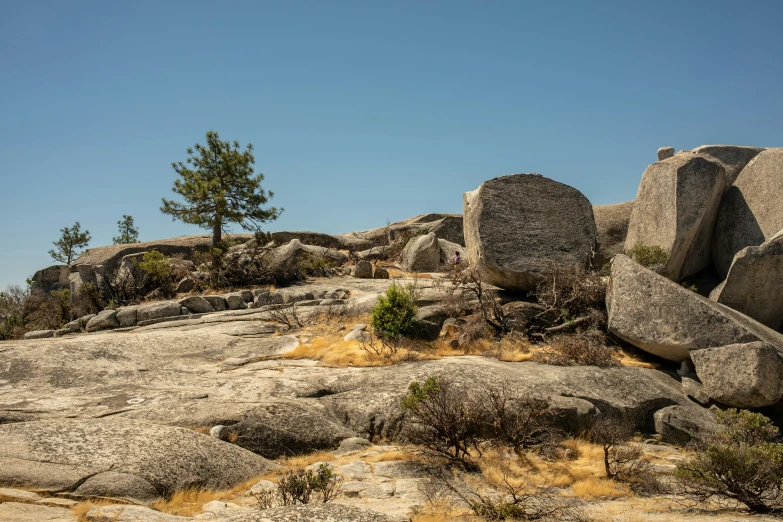 rocks sitting on top of a desert covered in grass and trees