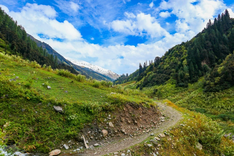 the dirt path winds through a vast, forested valley