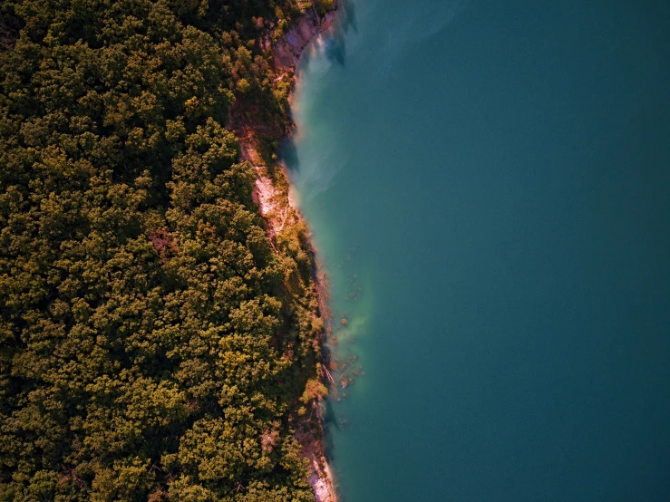 a very large body of water next to some trees