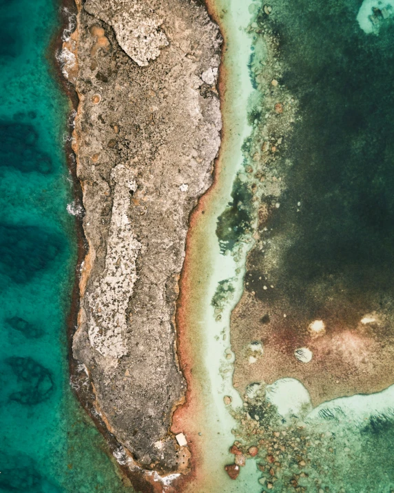 aerial view of a coral reef in shallow blue water