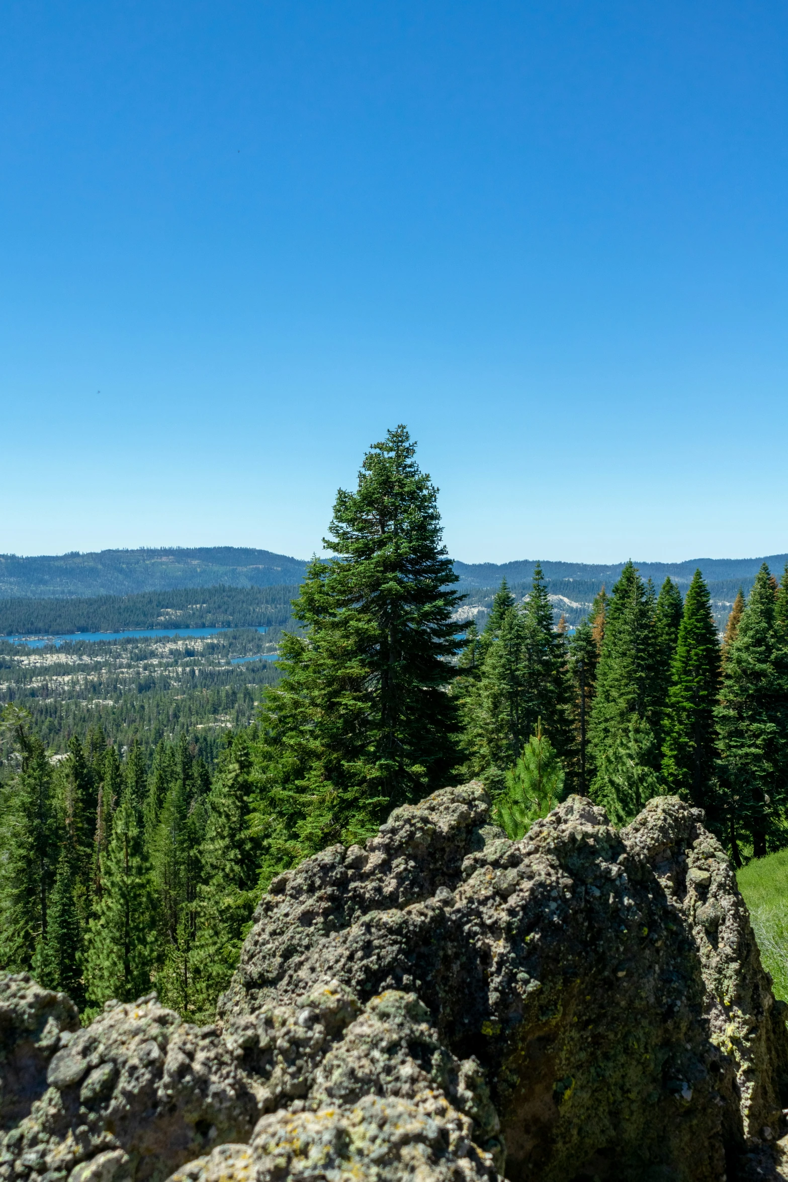 a very pretty view from some hills with trees