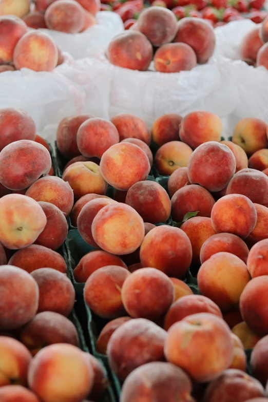 many baskets of peaches are stacked up in rows