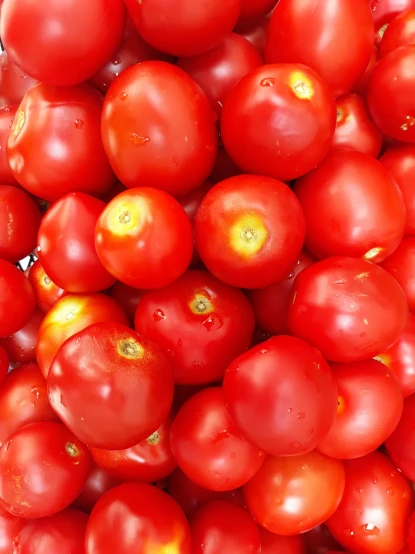 large bunch of tomatoes for sale in market