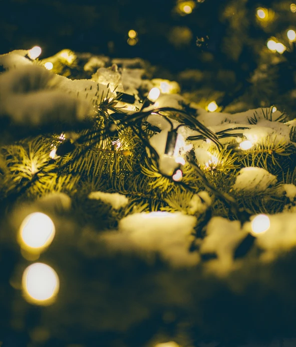 green and white christmas lights and snow