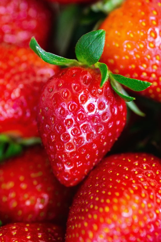 a close - up picture of a bunch of ripe strawberries