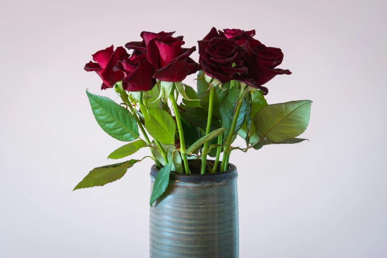 a vase with some roses in it