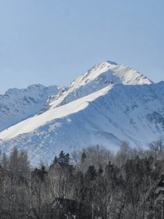 a white snowy mountain covered in trees