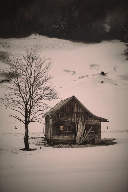 a barn sitting next to a tree covered in snow