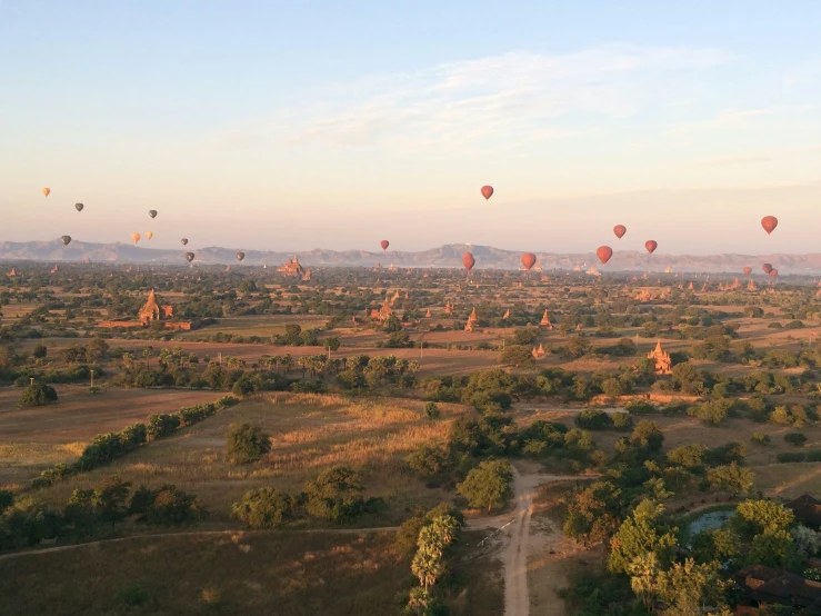 many balloons rise above the plains at sunset