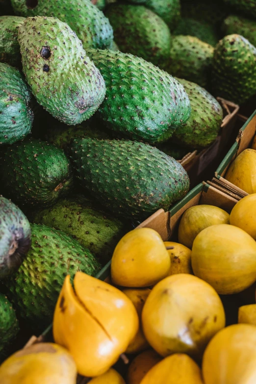 fresh fruit are laid out in the open