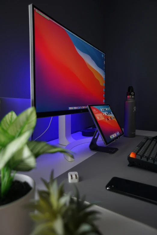 a desk that has a keyboard, monitor and some kind of plant