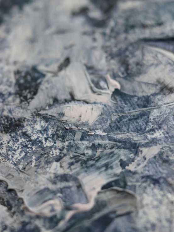 a close up image of leaf shapes in a frozen pond