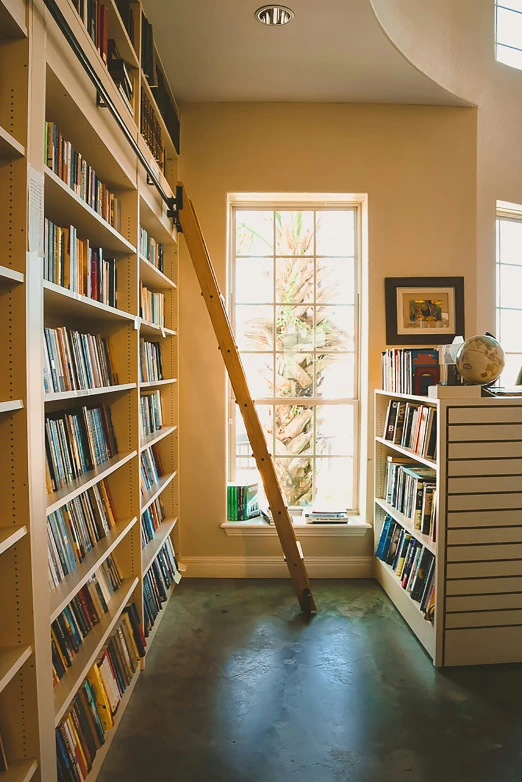 a ladder that is on the side of a book shelf