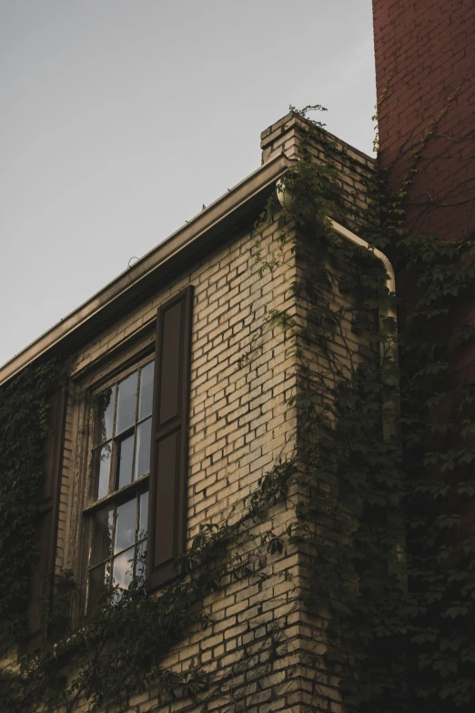 a very tall brick building with vines growing up it