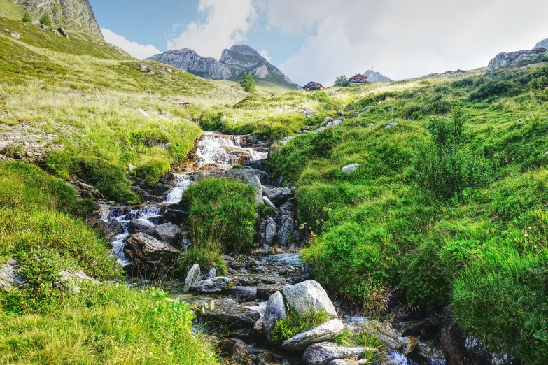 the hills are covered with grass and trees