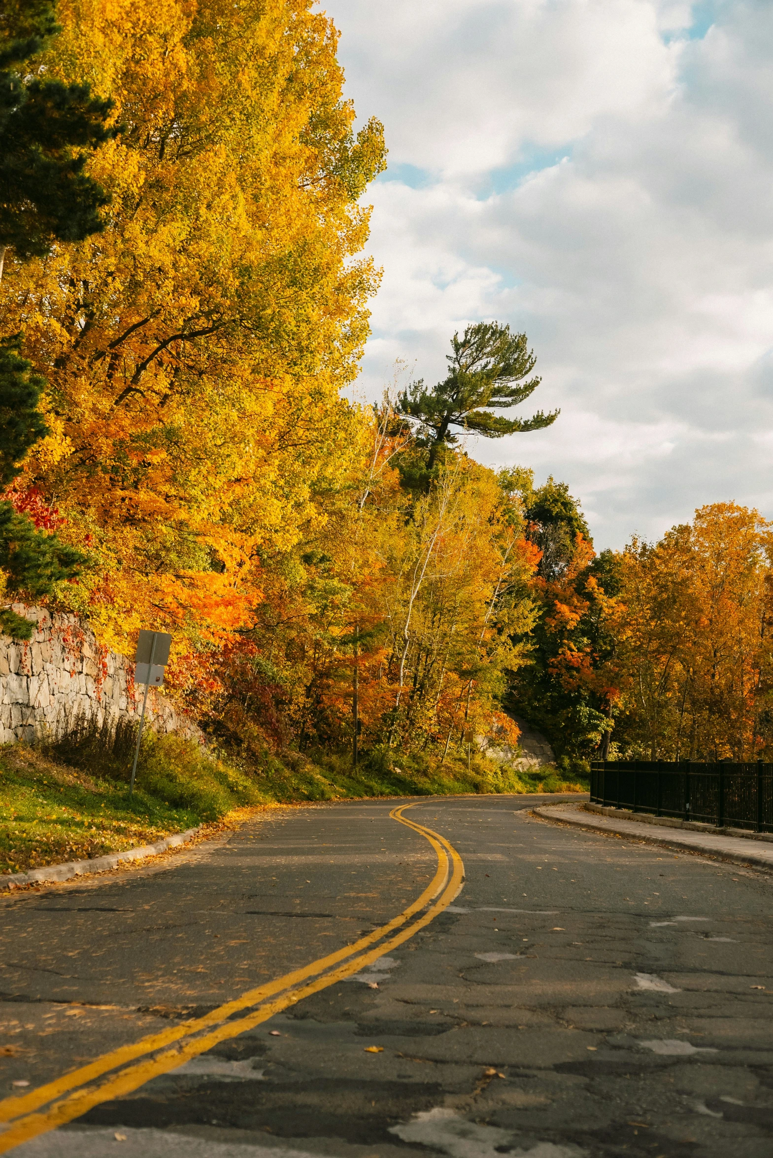 this is an image of autumn trees and a road