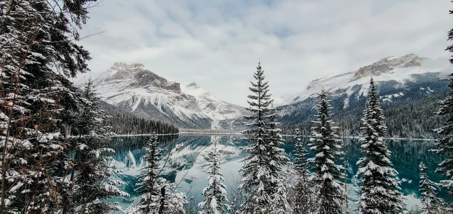 some water trees and clouds in the day