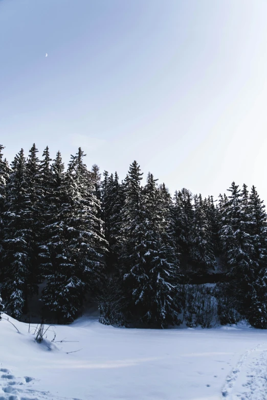 a person on skis on the snowy ground