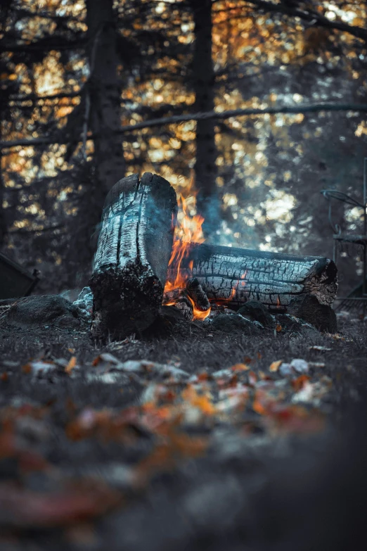 a fire pit in the woods lit by a light