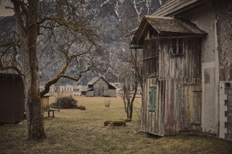 an old shack in a rural pasture with mountain view