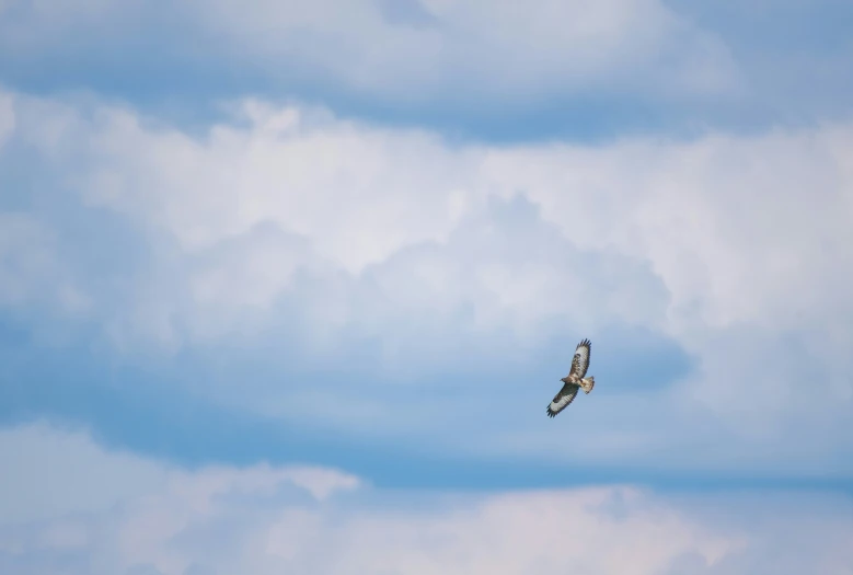 an airplane that is flying in the sky