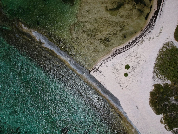 an aerial view of trees, sand and water