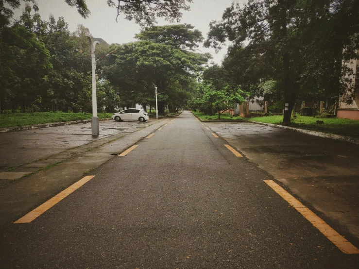 a city street is shown deserted with trees