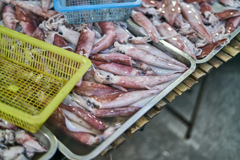 fish are in trays at the stand for sale