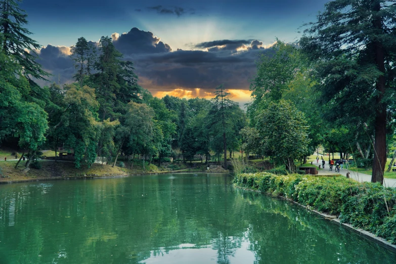 a lake is next to a grassy area with trees